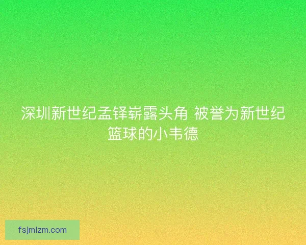 深圳新世纪孟铎崭露头角 被誉为新世纪篮球的小韦德