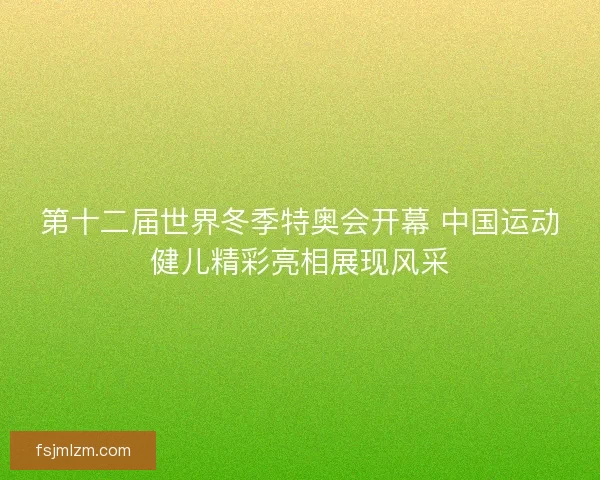 第十二届世界冬季特奥会开幕 中国运动健儿精彩亮相展现风采