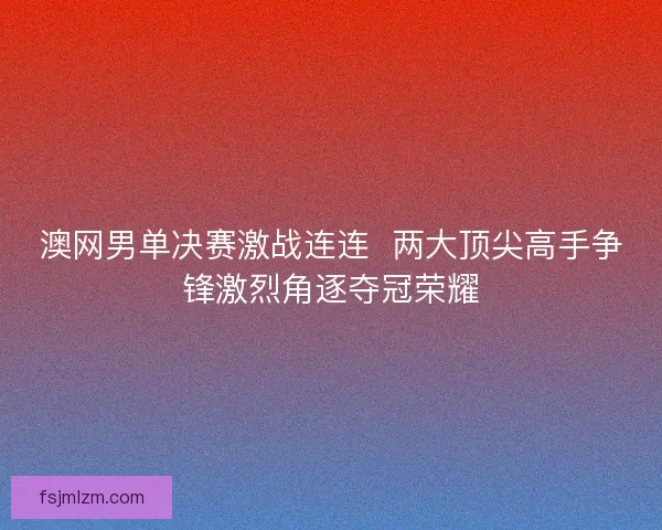 澳网男单决赛激战连连  两大顶尖高手争锋激烈角逐夺冠荣耀