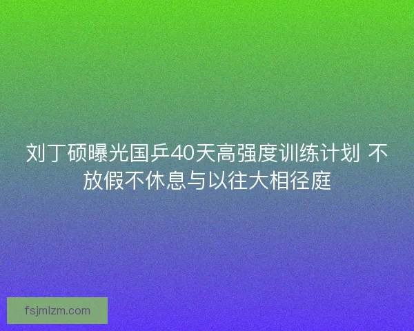 刘丁硕曝光国乒40天高强度训练计划 不放假不休息与以往大相径庭