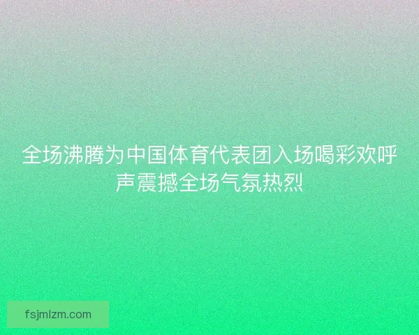 全场沸腾为中国体育代表团入场喝彩欢呼声震撼全场气氛热烈