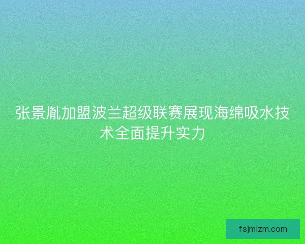 张景胤加盟波兰超级联赛展现海绵吸水技术全面提升实力